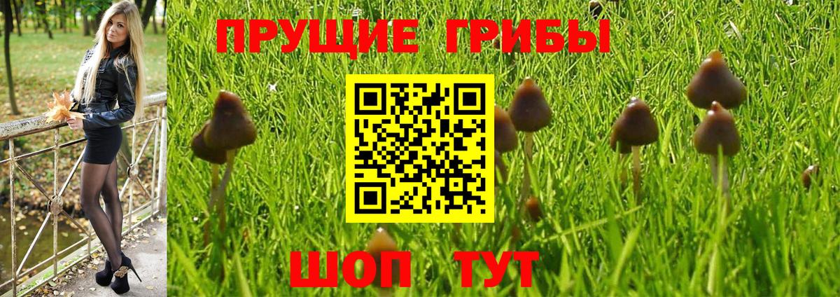 Галлюциногенные грибы мицелий  Вход с VPN  Псилоцибиновые грибы Psilocybe  Ржев 