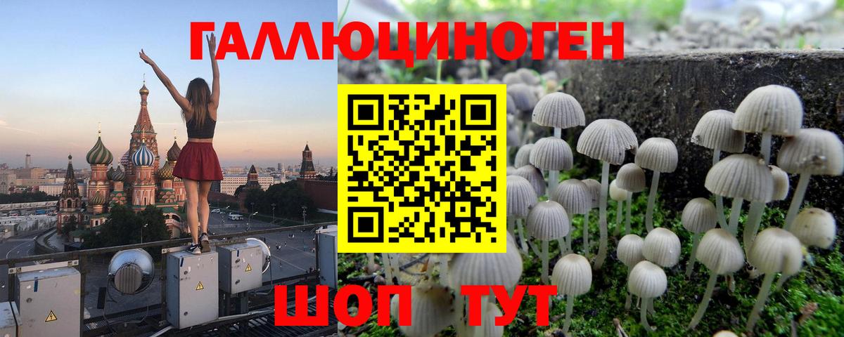 Псилоцибиновые грибы MAGIC MUSHROOMS Ржев